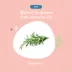 kin + kind Natural Shampoo For Itchy Cats & Dogs, Rosemary & Peppermint Scent Allergen Remover- 12Oz image thumbnail 6