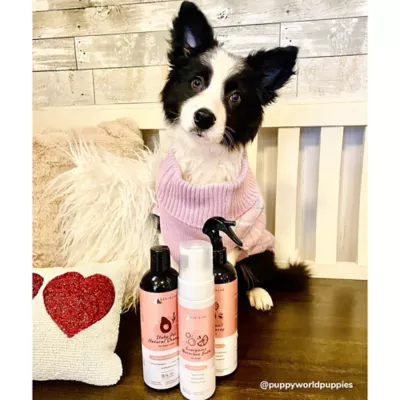 kin + kind Natural Shampoo For Itchy Cats & Dogs, Rosemary & Peppermint Scent Allergen Remover- 12Oz - Image 8