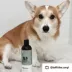 kin + kind Dry Skin & Coat Natural Shampoo W/ Argan Oil For Dogs, Cedar Scent- 12 Oz image thumbnail 8