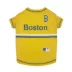 Pets First Boston Red Sox City Connect Tee image thumbnail 1