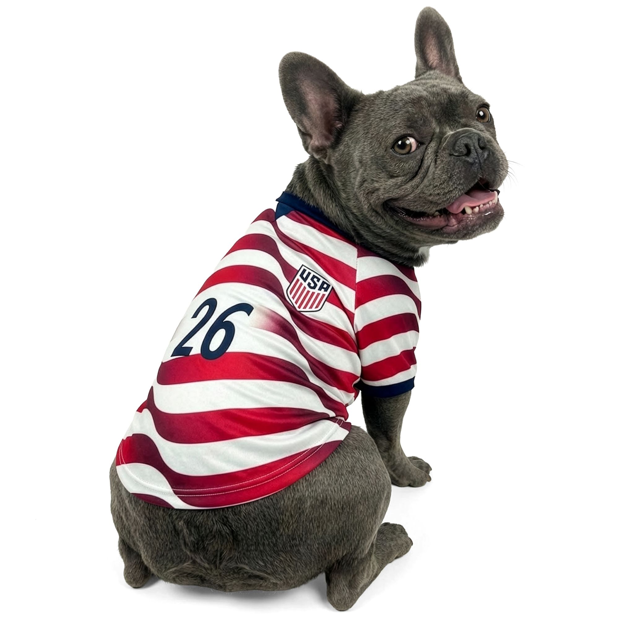 Jerseys and Team Sports 