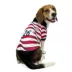 U.S. Soccer White Jersey image thumbnail 1