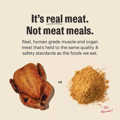 The Honest Kitchen Protein Plus+ Clusters Adult Dry Dog Food - Chicken, Grain Free - Image 3