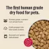 The Honest Kitchen Protein Plus+ Clusters Adult Dry Dog Food - Chicken, Grain Free image thumbnail 4