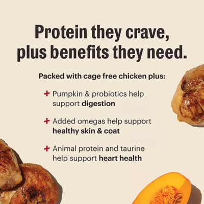 The Honest Kitchen Protein Plus+ Clusters Adult Dry Dog Food - Chicken, Grain Free - Image 2