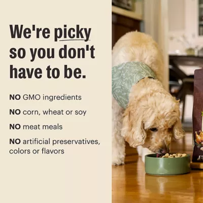 The Honest Kitchen Protein Plus+ Adult Dry Dog Food Meal Topper - Chicken, Grain Free - Image 5