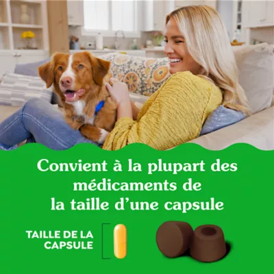 Greenies Pill Pockets Dog Treats for Capsules - Hickory Smoke - Image 7