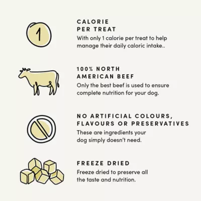 Crumps' Naturals Mini Trainers Freeze Dried Beef Liver Dog Treats - Image 4