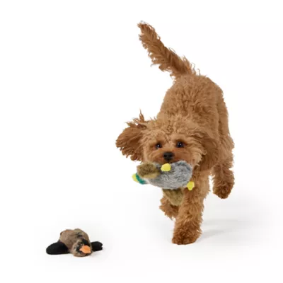 Joyhound Realistic Plush Mallard Squeaky Plush Dog Toy - Image 3