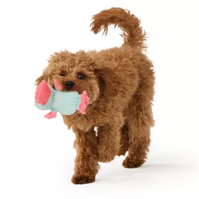 Joyhound Biteshield Plush Platypus Squeaky Plush Dog Toy - Image 3