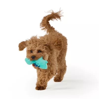 Joyhound® Biteshield Plush Dinos Squeaky Dog Toy - 2 Pack - Image 3
