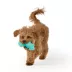 Joyhound® Biteshield Plush Dinos Squeaky Dog Toy - 2 Pack image thumbnail 3