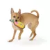 Joyhound Rip Roarin' Paddle Ball Tough Dog Toy image thumbnail 3