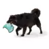 Joyhound Rip Roarin' Dinosaur Tough Dog Toy image thumbnail 3