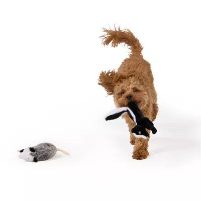 Joyhound Realistic Plush Possum & Skunk Squeaky Plush Dog Toy 2 Pack - Image 3