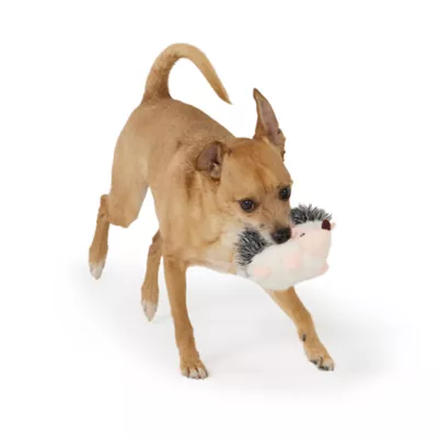 Joyhound® Realistic Plush Hedgehog Squeaky Dog Toy - Image 3