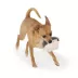 Joyhound® Realistic Plush Hedgehog Squeaky Dog Toy image thumbnail 3