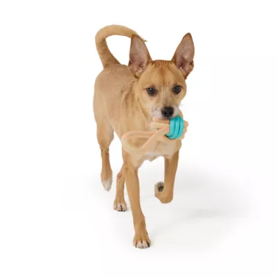 Joyhound® Rope TPR Ball Monkey Fist Dog Toy - Image 3