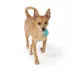 Joyhound® Rope TPR Ball Monkey Fist Dog Toy image thumbnail 3