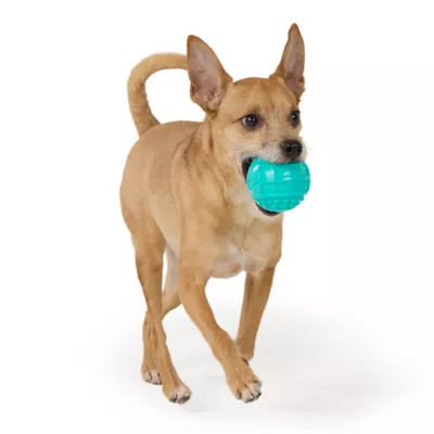 Joyhound® Giggle Ball Dog Toy - Image 3