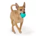 Joyhound® Giggle Ball Dog Toy image thumbnail 3