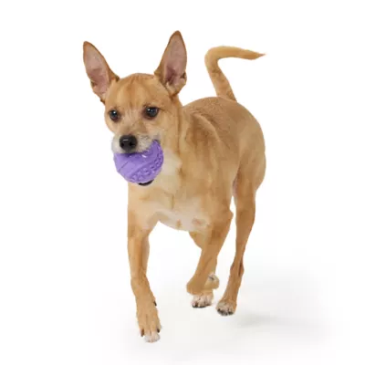 Joyhound® Giggle Ball Dog Toy - Image 3