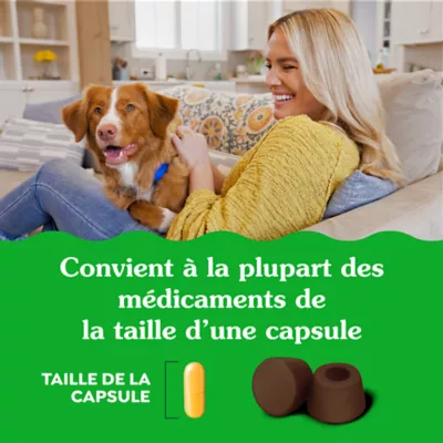 Greenies Pill Pockets Dog Treats for Capsules - Peanut Butter - Image 7