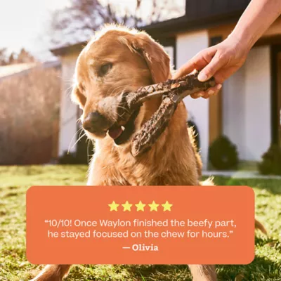 WOOF HonestChew Antler Dog Chew Toy - Image 9