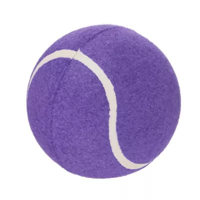 Joyhound® Tennis Ball Dog Toy 5 in - Image 1