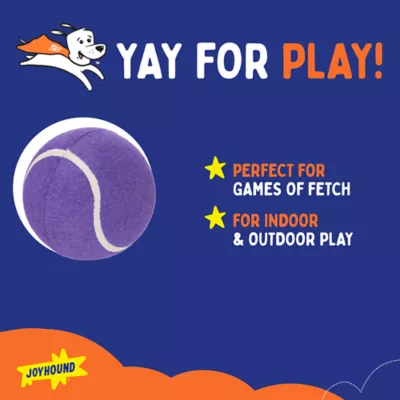 Joyhound® Tennis Ball Dog Toy 5 in - Image 2