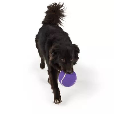 Joyhound® Tennis Ball Dog Toy 5 in - Image 3