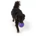 Joyhound® Tennis Ball Dog Toy 5 in image thumbnail 3