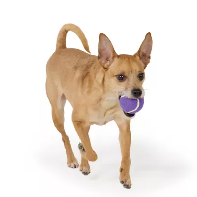 Joyhound® Tennis Ball Dog Toy 2.5 in - Image 3
