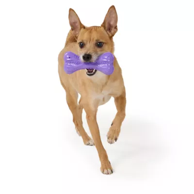 Joyhound® Value TPR Bone Dog Toy - Image 3