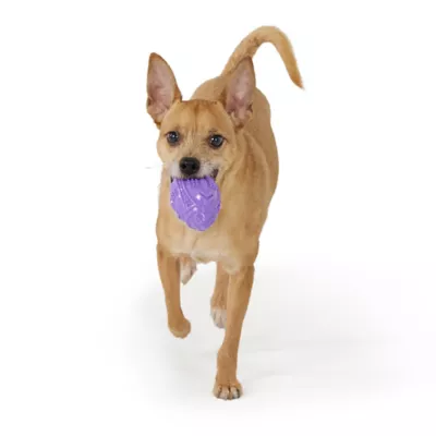 Joyhound® Value TPR Football Dog Toy - Image 3