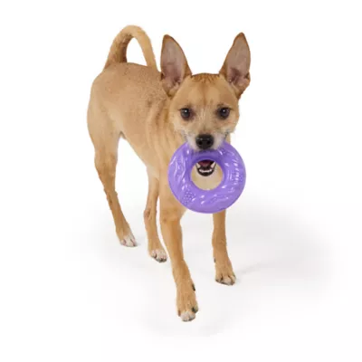 Joyhound® Value TPR Ring Dog Toy - Image 3