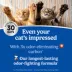 Fresh Step Heavy Duty Clumping Litter with Febreze Freshness, 30 Day Odor Control, Box image thumbnail 4