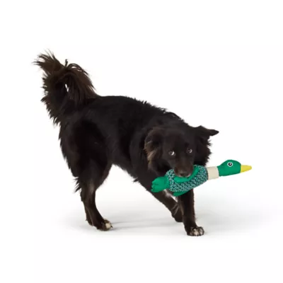 Joyhound® Duck Rope with Bone Dog Toy - Image 3