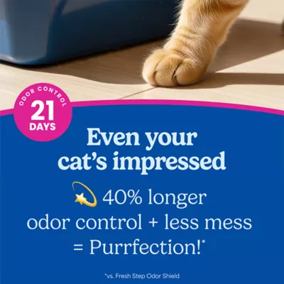 Fresh Step Clean Paws Multi-Cat Litter With Febreze Freshness, Box - Image 4