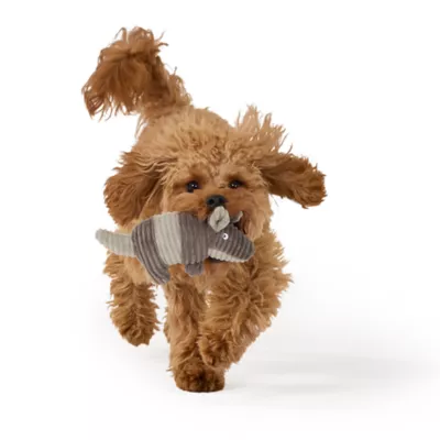 Joyhound Biteshield Plush Armadillo Squeaky Plush Dog Toy - Image 3