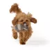 Joyhound Biteshield Plush Armadillo Squeaky Plush Dog Toy image thumbnail 3
