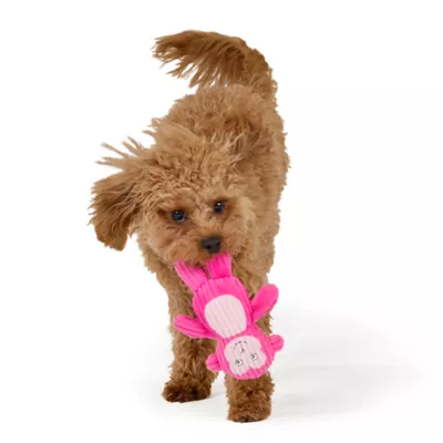 Joyhound Biteshield Plush Monkey Squeaky Plush Dog Toy - Image 3