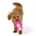 Joyhound Biteshield Plush Monkey Squeaky Plush Dog Toy image thumbnail 3