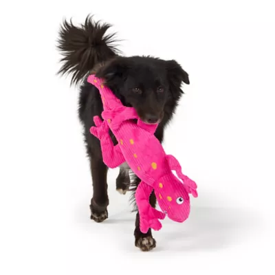 Joyhound Biteshield Plush Lizard Squeaky Plush Dog Toy - Image 3