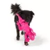Joyhound Biteshield Plush Lizard Squeaky Plush Dog Toy image thumbnail 3