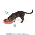 Whisker City® Roulette Scratch Track Cat Toys image thumbnail 3