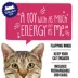 Whisker City® Electrinic Flapping Bird Cat Toys image thumbnail 2