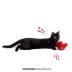 Whisker City® Electrinic Flapping Bird Cat Toys image thumbnail 3