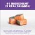 IAMS Proactive Health™ Kitten Cat Dry Food - Healthy Kitten, Salmon image thumbnail 4