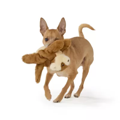 Joyhound Realistic Plush Otter Squeaky Plush Dog Toy - Image 3
